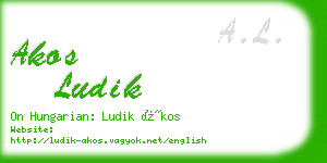 akos ludik business card